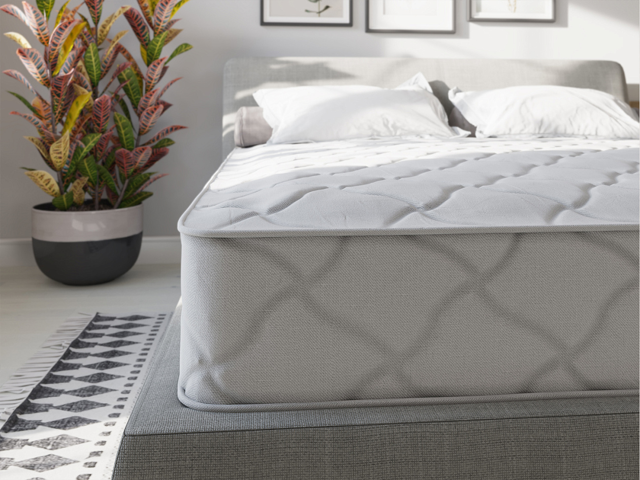 Evita Беспружинные New Zone фото 5